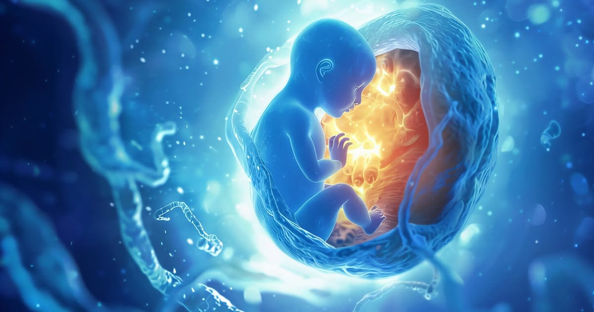 kinh nghiem chuyen phoi tuoi thanh cong 1 2025 | Trung tâm hỗ trợ sinh sản IVF Bảo Sơn kinh nghiem chuyen phoi tuoi thanh cong 1 2025 | Trung tâm hỗ trợ sinh sản IVF Bảo Sơn