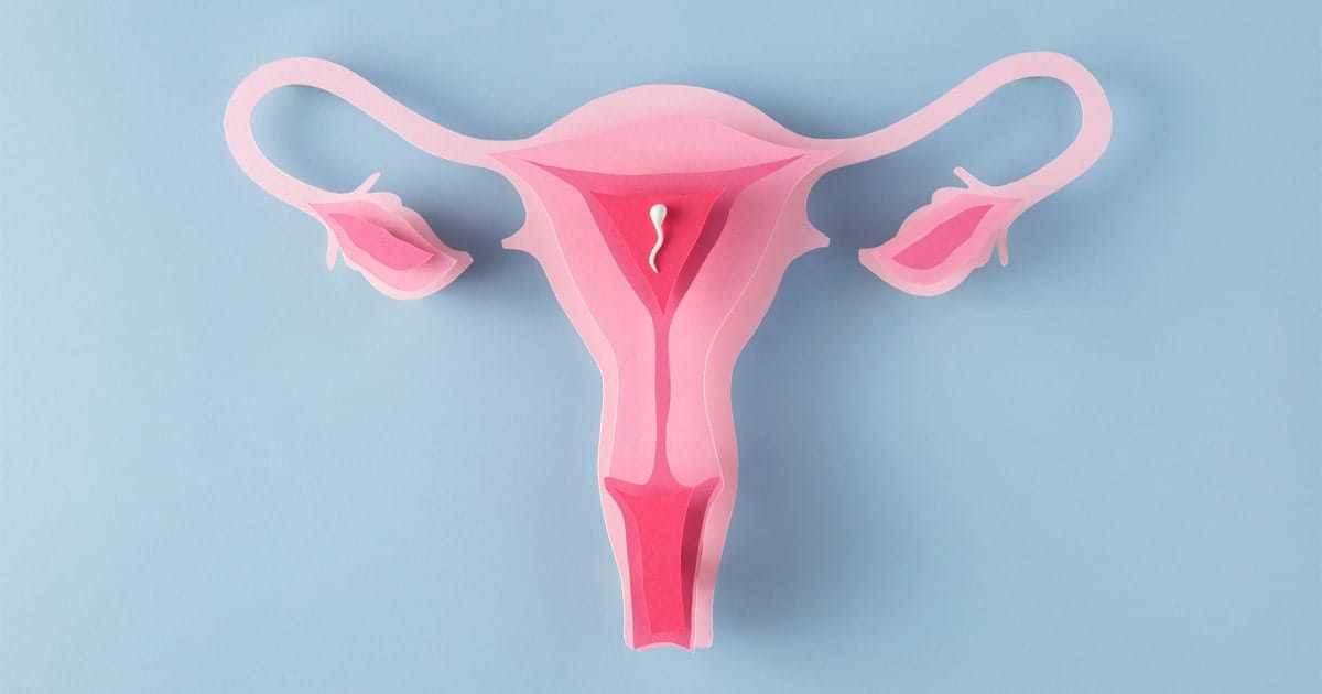 lam ivf khi buong trung da nang co duoc khong min 2025 | Trung tâm hỗ trợ sinh sản IVF Bảo Sơn lam ivf khi buong trung da nang co duoc khong min 2025 | Trung tâm hỗ trợ sinh sản IVF Bảo Sơn